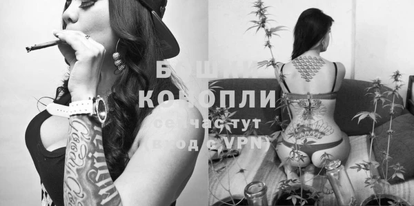 прущие грибы Арсеньев
