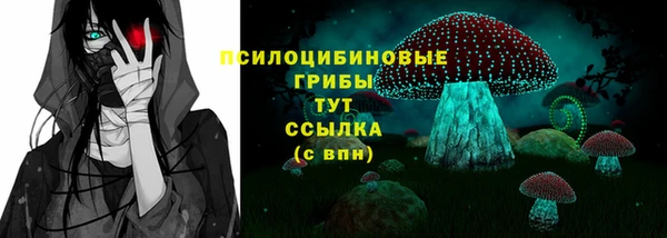 шишки Армянск