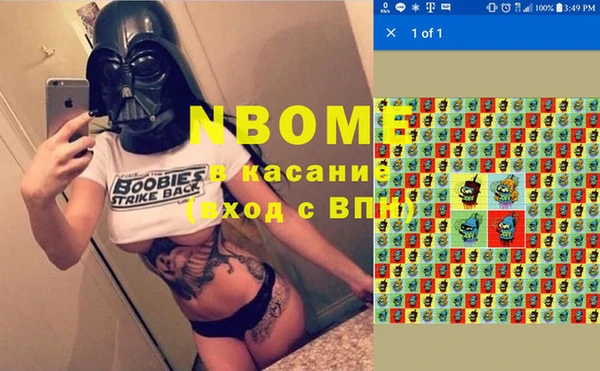 прущие грибы Арсеньев