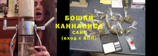 шишки Армянск