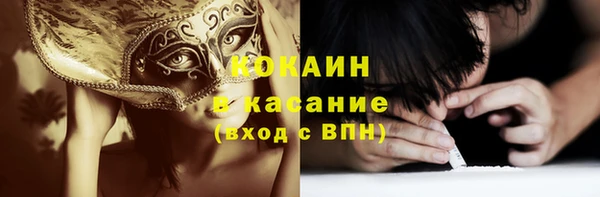 прущие грибы Арсеньев