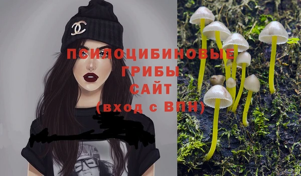 шишки Армянск