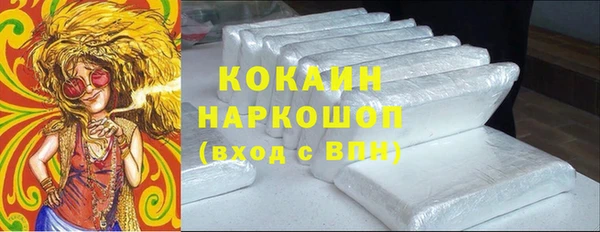 шишки Армянск