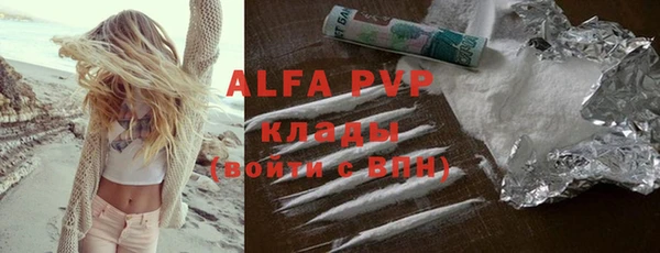 прущие грибы Арсеньев