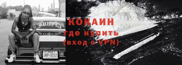 прущие грибы Арсеньев