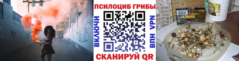 Псилоцибиновые грибы мицелий  MEGA как войти  Калтан 